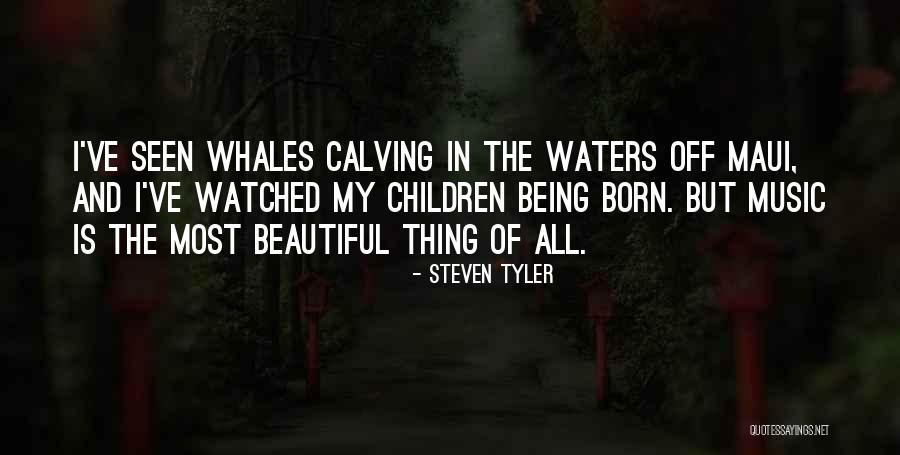 Grassonet Quotes By Steven Tyler Grassonet Quotes By Steven Tyler