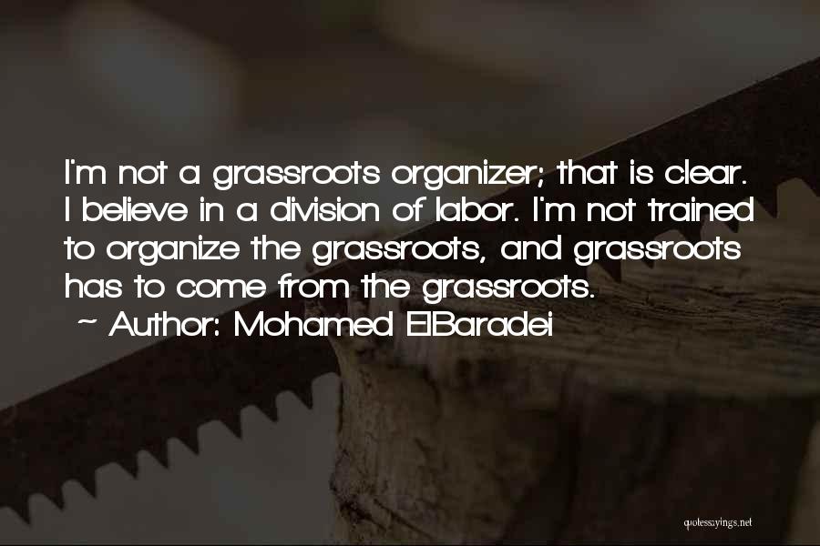 Grassroots Quotes By Mohamed ElBaradei