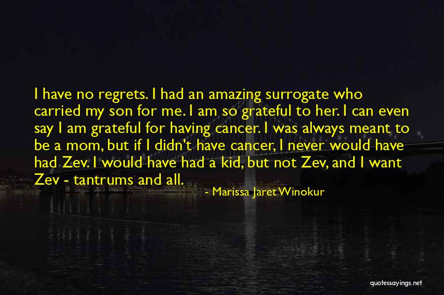 Grateful For Who I Am Quotes By Marissa Jaret Winokur