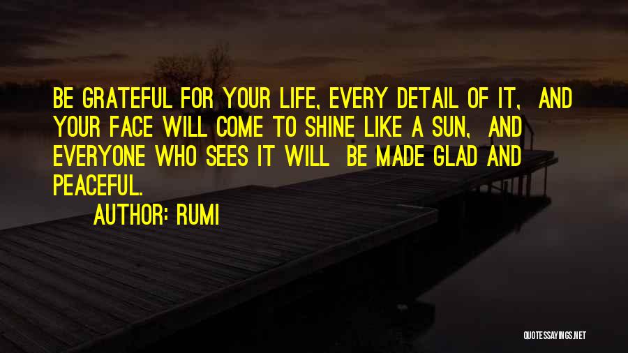 Grateful For Your Life Quotes By Rumi