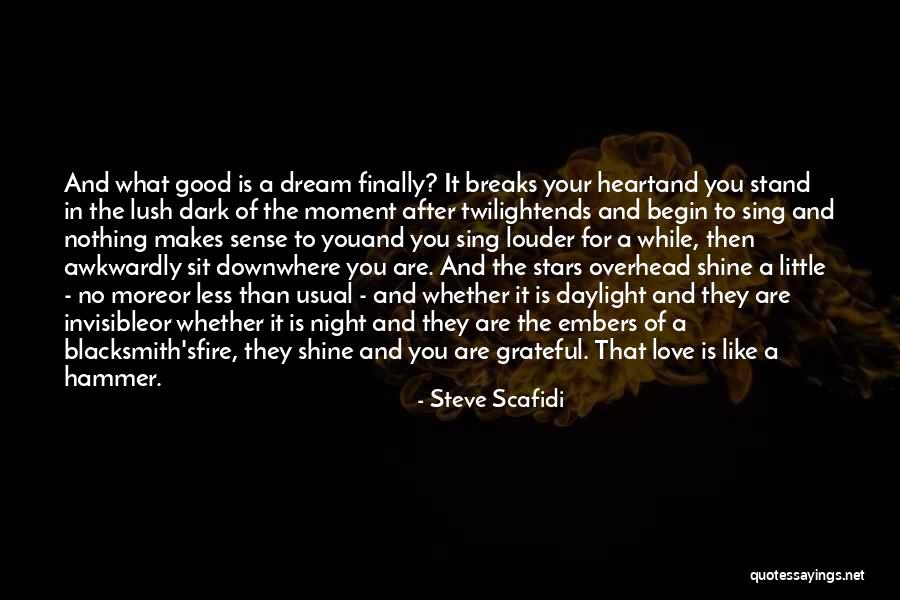 Grateful Quotes By Steve Scafidi