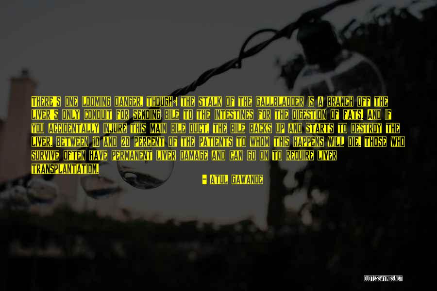Gratefully Dyed Quotes By Atul Gawande Gratefully Dyed Quotes By Atul Gawande