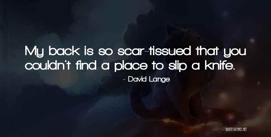 Gratiana Soul Quotes By David Lange Gratiana Soul Quotes By David Lange