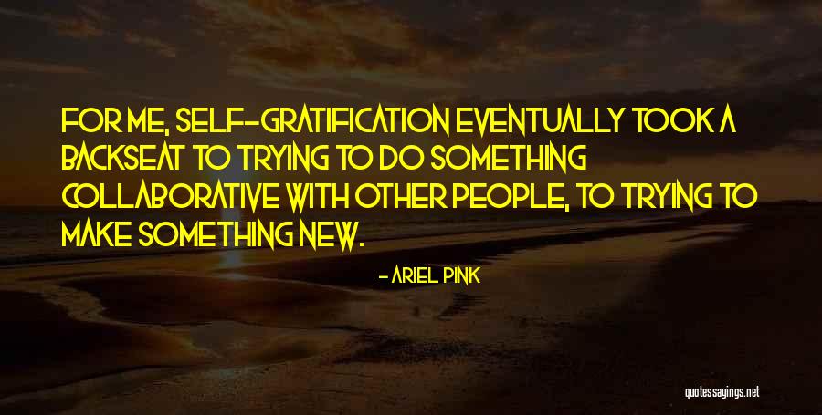 Gratification Quotes By Ariel Pink