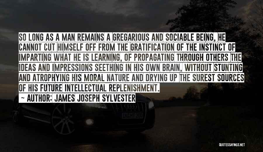 Gratification Quotes By James Joseph Sylvester