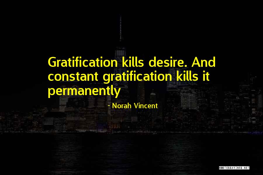 Gratification Quotes By Norah Vincent