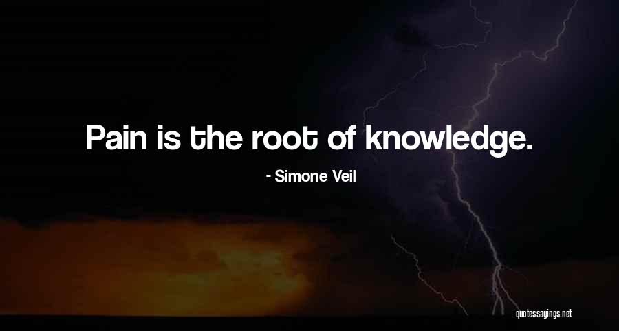 Gratii Hanneman Quotes By Simone Veil Gratii Hanneman Quotes By Simone Veil