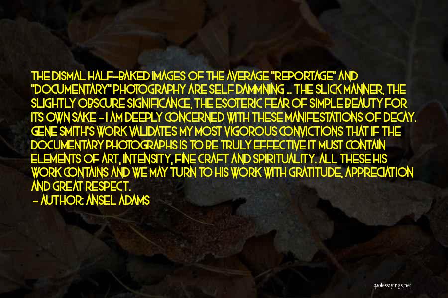 Gratitude And Appreciation Quotes By Ansel Adams