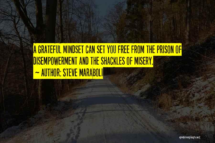 Gratitude And Appreciation Quotes By Steve Maraboli