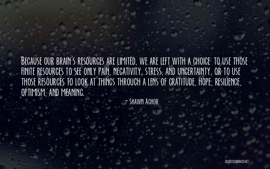 Gratitude And Resilience Quotes By Shawn Achor Gratitude And Resilience Quotes By Shawn Achor