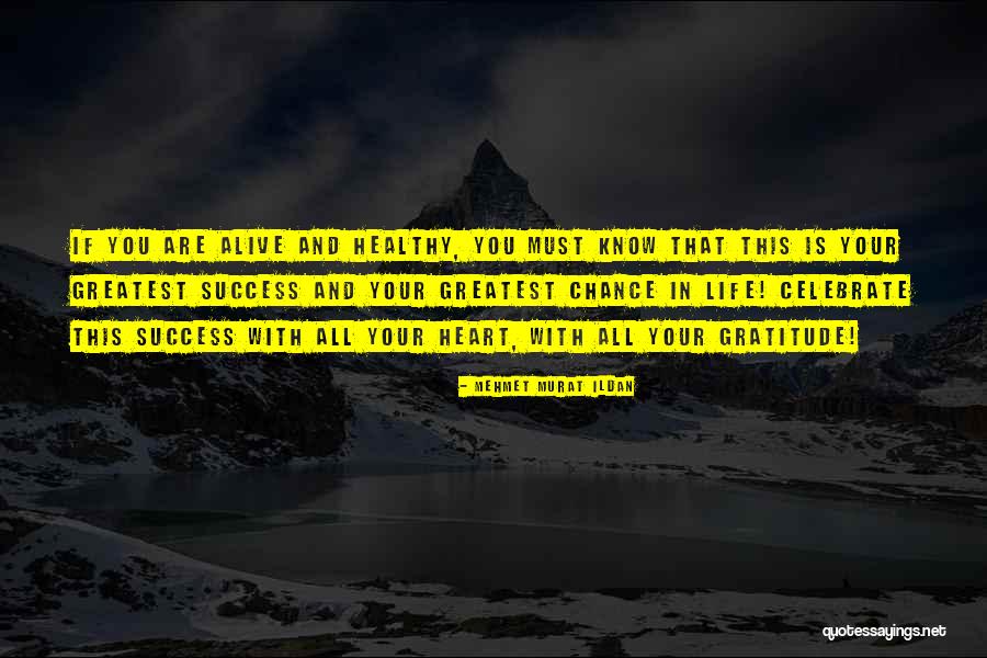 Gratitude And Success Quotes By Mehmet Murat Ildan Gratitude And Success Quotes By Mehmet Murat Ildan