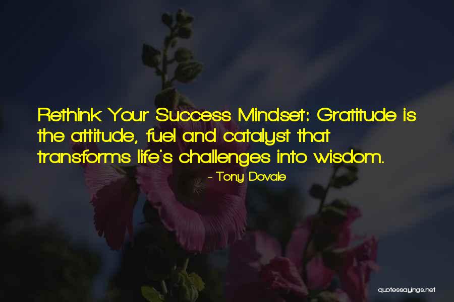 Gratitude And Success Quotes By Tony Dovale Gratitude And Success Quotes By Tony Dovale