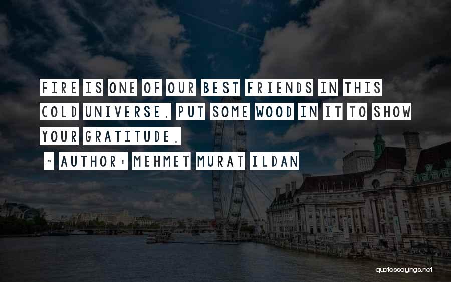Gratitude For Friends Quotes By Mehmet Murat Ildan
