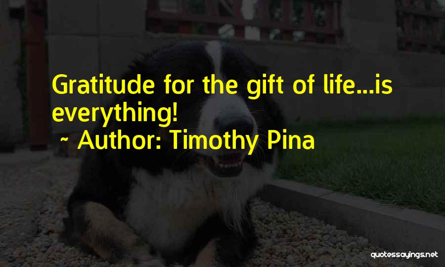 Gratitude For Life Quotes By Timothy Pina