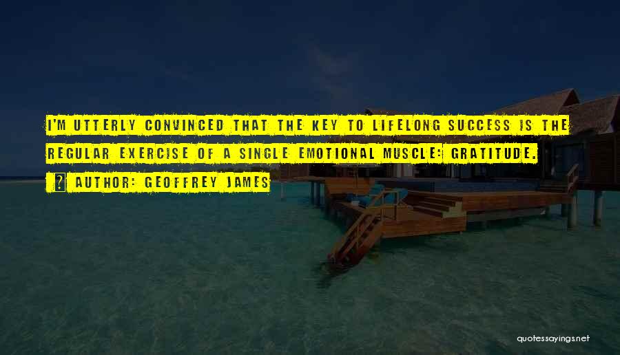 Gratitude For Success Quotes By Geoffrey James