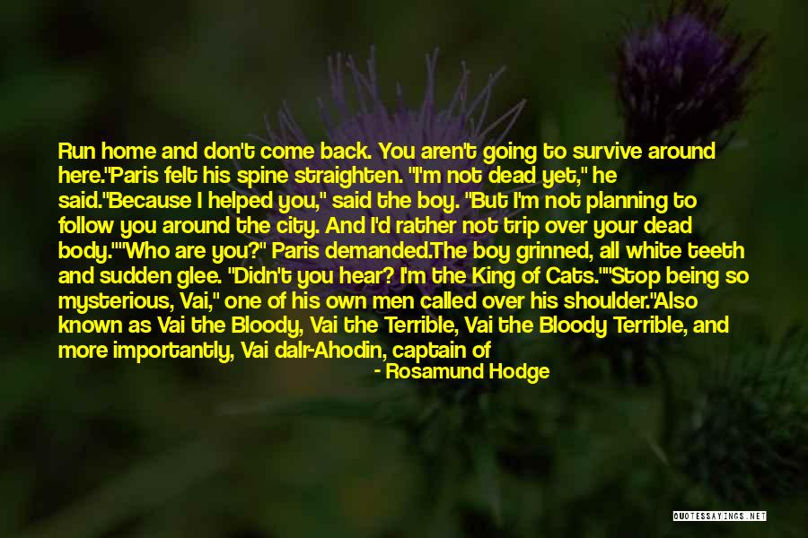 Gratitude Saturday Sunflowers Quotes By Rosamund Hodge Gratitude Saturday Sunflowers Quotes By Rosamund Hodge