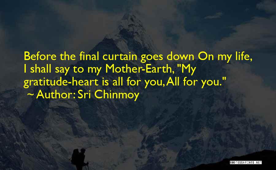 Gratitude To Mother Quotes By Sri Chinmoy