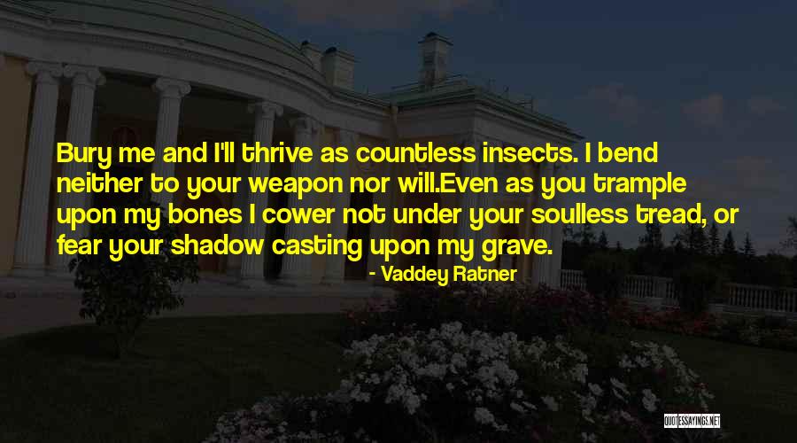 Grave Under Quotes By Vaddey Ratner Grave Under Quotes By Vaddey Ratner