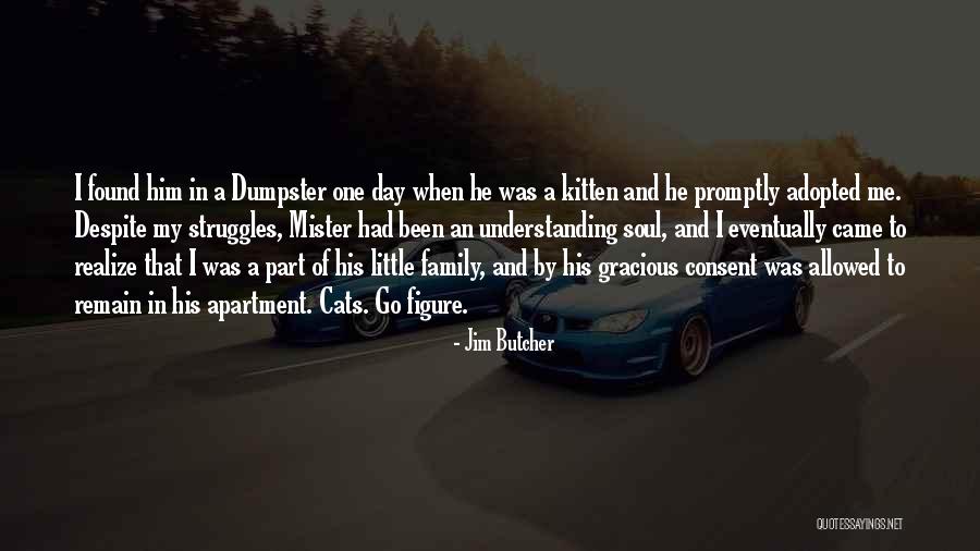 Gravel Stone Quotes By Jim Butcher Gravel Stone Quotes By Jim Butcher