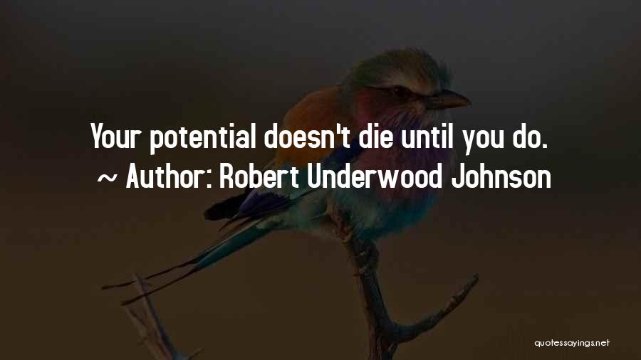 Graveline Group Quotes By Robert Underwood Johnson