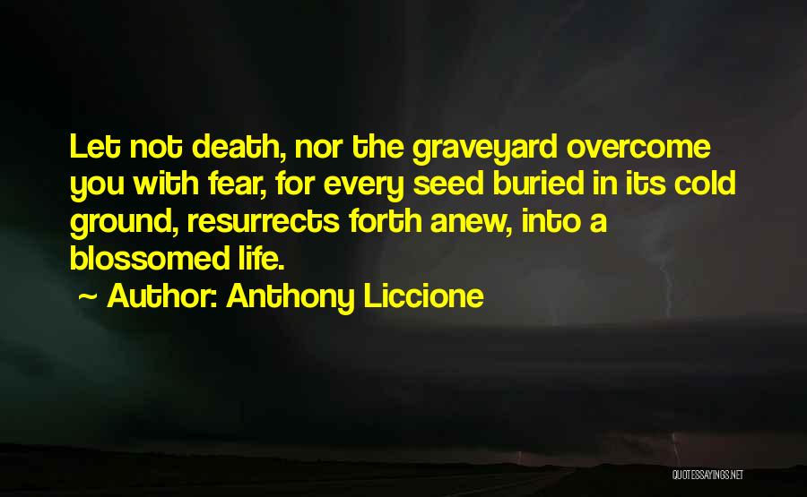 Graveyard Quotes By Anthony Liccione