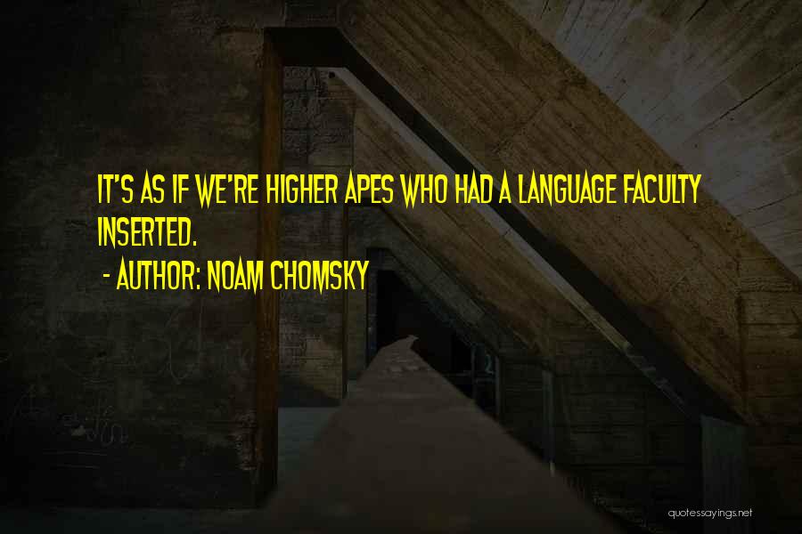 Graveyards In Minecraft Quotes By Noam Chomsky