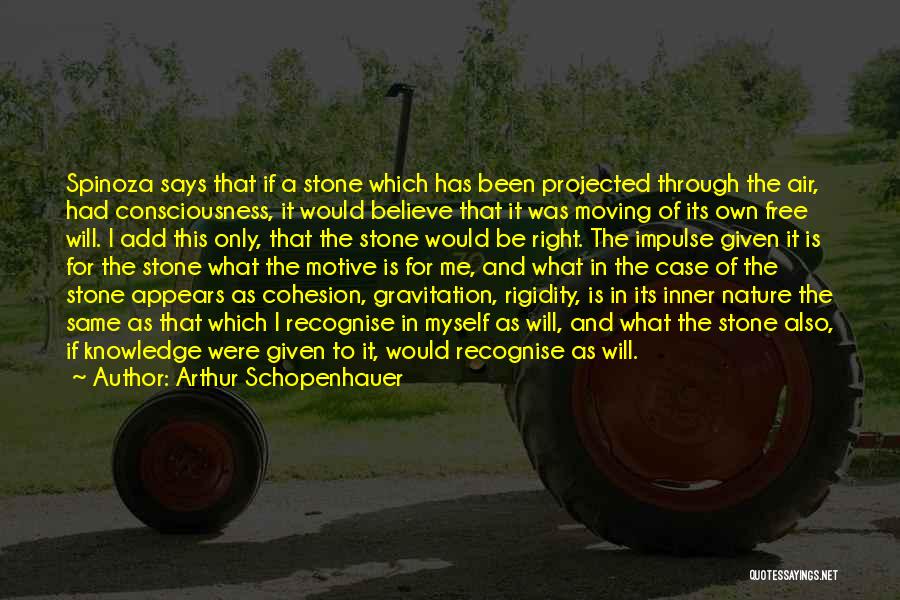 Gravitation Quotes By Arthur Schopenhauer