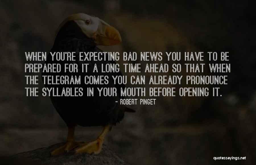 Gravitatorio Significado Quotes By Robert Pinget Gravitatorio Significado Quotes By Robert Pinget