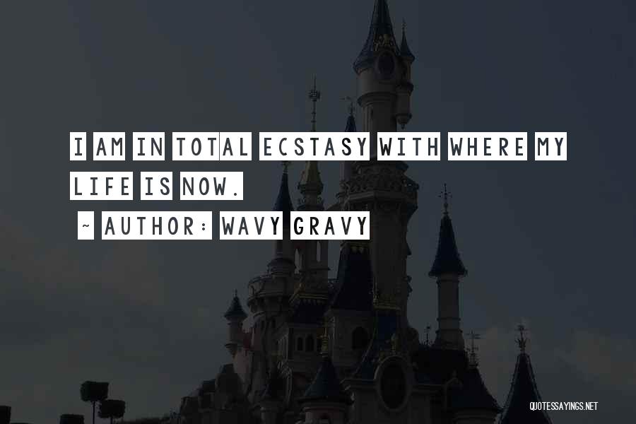 Gravy Quotes By Wavy Gravy