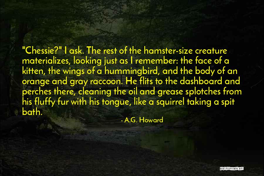 Gray And Orange Quotes By A.G. Howard Gray And Orange Quotes By A.G. Howard
