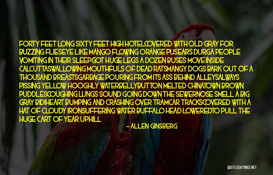 Gray And Orange Quotes By Allen Ginsberg Gray And Orange Quotes By Allen Ginsberg