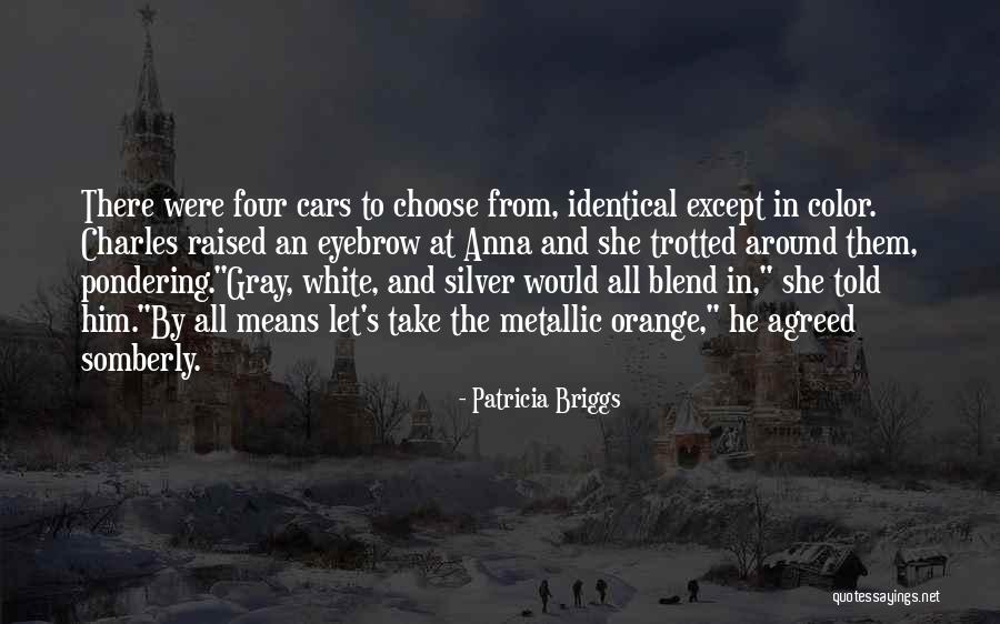 Gray And Orange Quotes By Patricia Briggs Gray And Orange Quotes By Patricia Briggs