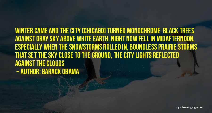Gray Clouds Quotes By Barack Obama