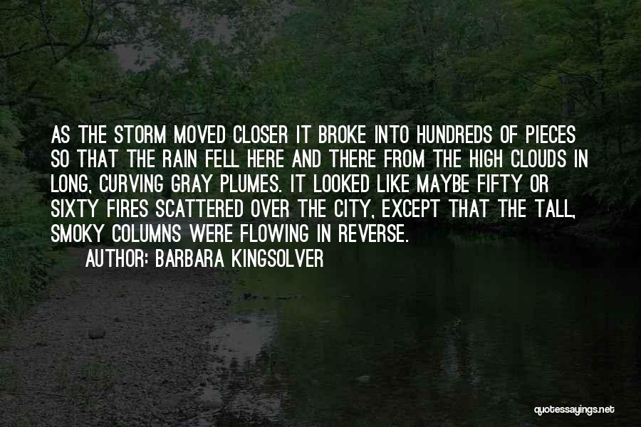 Gray Clouds Quotes By Barbara Kingsolver