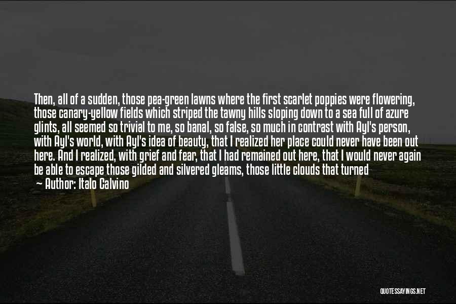 Gray Clouds Quotes By Italo Calvino