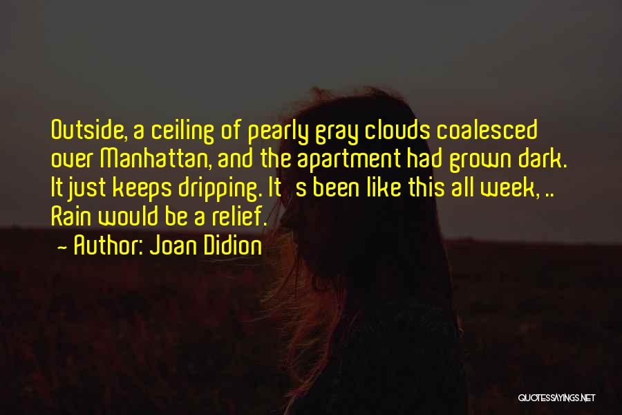Gray Clouds Quotes By Joan Didion