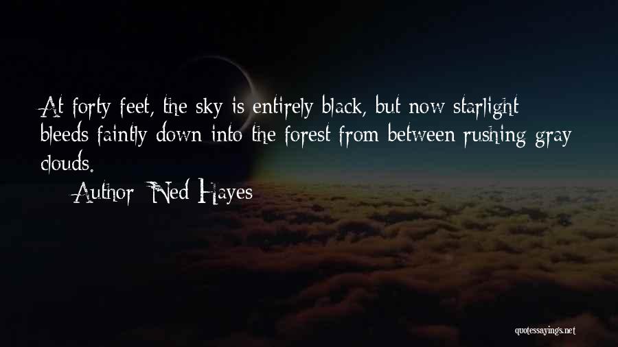 Gray Clouds Quotes By Ned Hayes