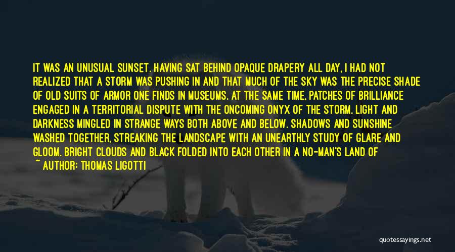 Gray Clouds Quotes By Thomas Ligotti