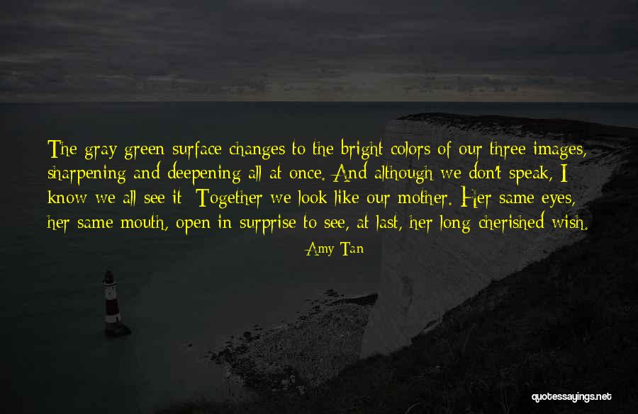 Gray Green Quotes By Amy Tan Gray Green Quotes By Amy Tan