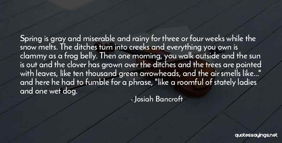 Gray Green Quotes By Josiah Bancroft Gray Green Quotes By Josiah Bancroft