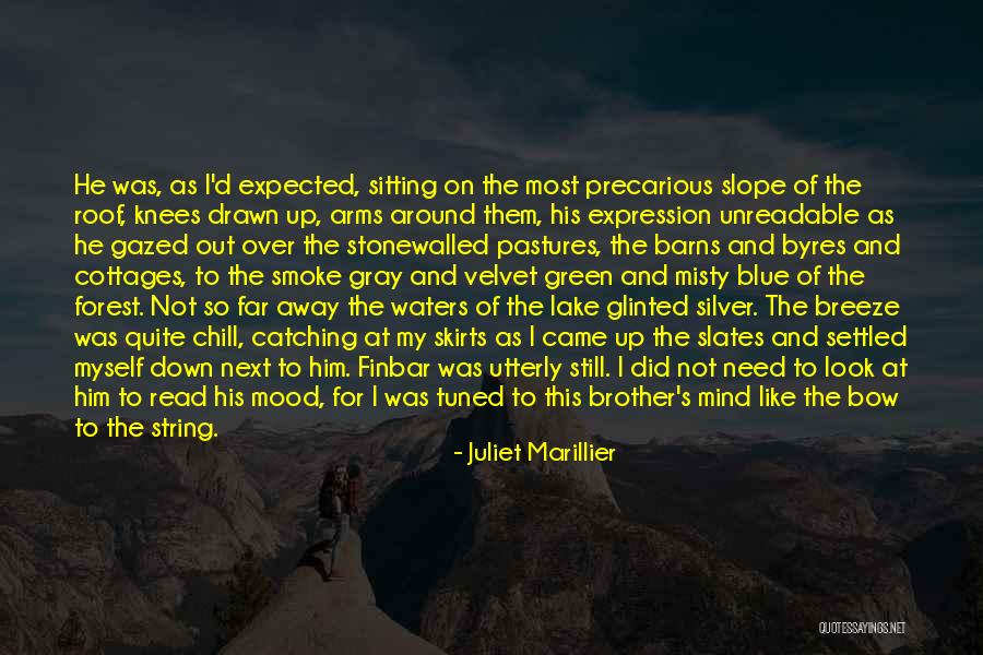 Gray Green Quotes By Juliet Marillier Gray Green Quotes By Juliet Marillier