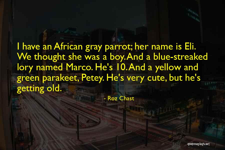 Gray Green Quotes By Roz Chast Gray Green Quotes By Roz Chast