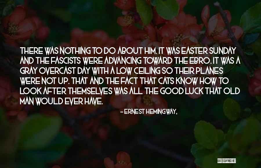 Gray Man Quotes By Ernest Hemingway, Gray Man Quotes By Ernest Hemingway,