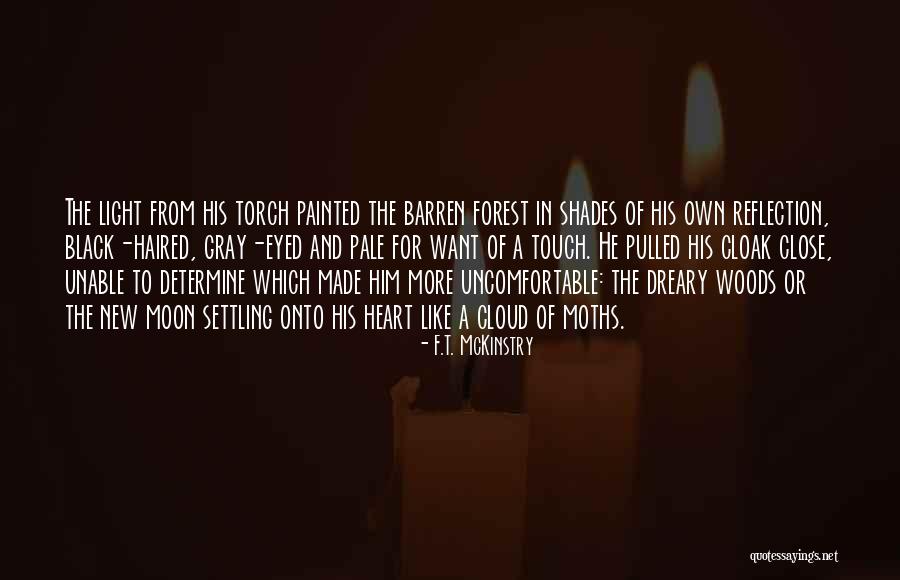 Gray Shades Quotes By F.T. McKinstry Gray Shades Quotes By F.T. McKinstry