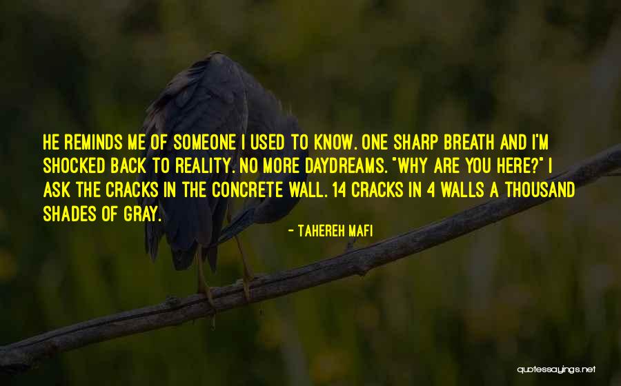 Gray Shades Quotes By Tahereh Mafi Gray Shades Quotes By Tahereh Mafi