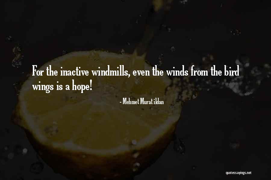 Graybar Electrical Supply Quotes By Mehmet Murat Ildan Graybar Electrical Supply Quotes By Mehmet Murat Ildan