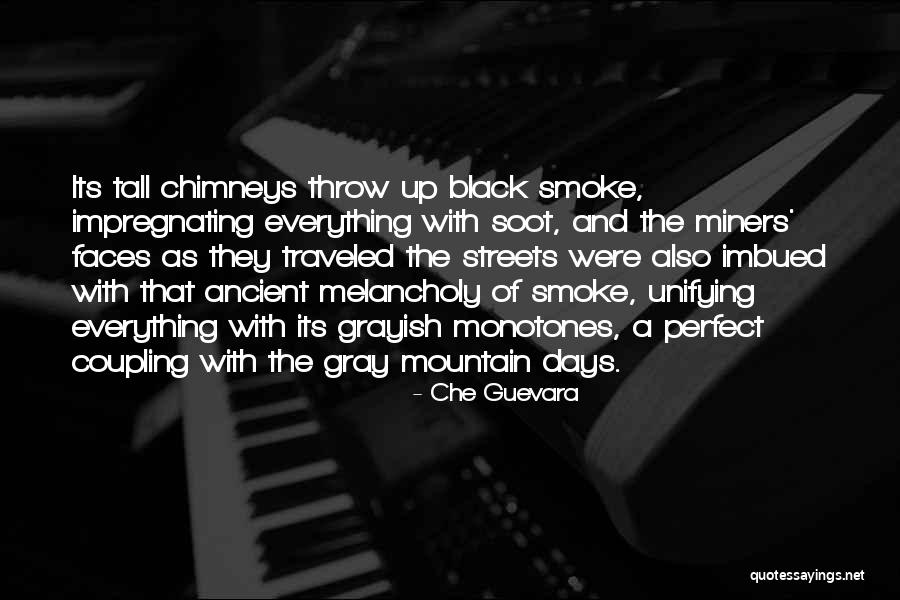 Grayish Quotes By Che Guevara Grayish Quotes By Che Guevara