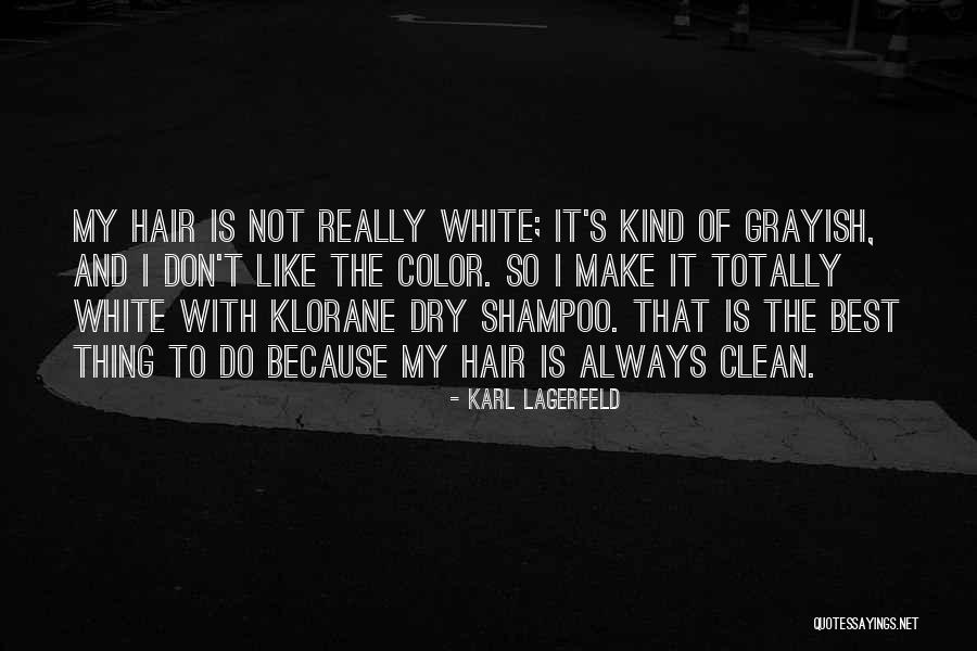 Grayish Quotes By Karl Lagerfeld Grayish Quotes By Karl Lagerfeld