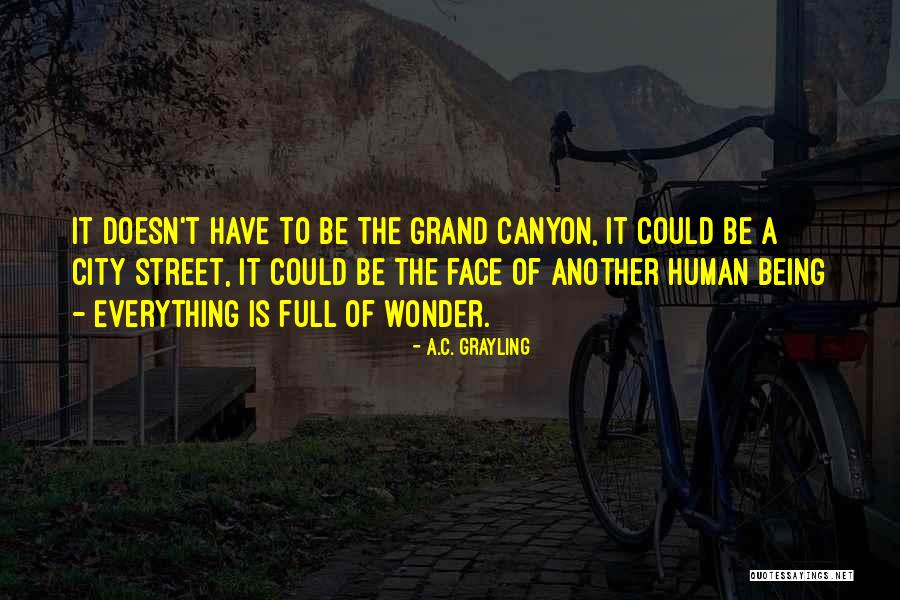 Grayling Quotes By A.C. Grayling Grayling Quotes By A.C. Grayling