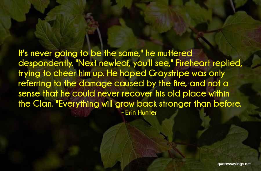 Graystripe And Fireheart Quotes By Erin Hunter Graystripe And Fireheart Quotes By Erin Hunter